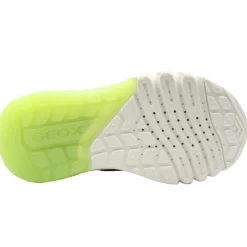 J45lbc Trainer - Navy Green