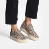 5317 Shoe - Leopard