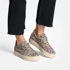 5317 Shoe - Leopard